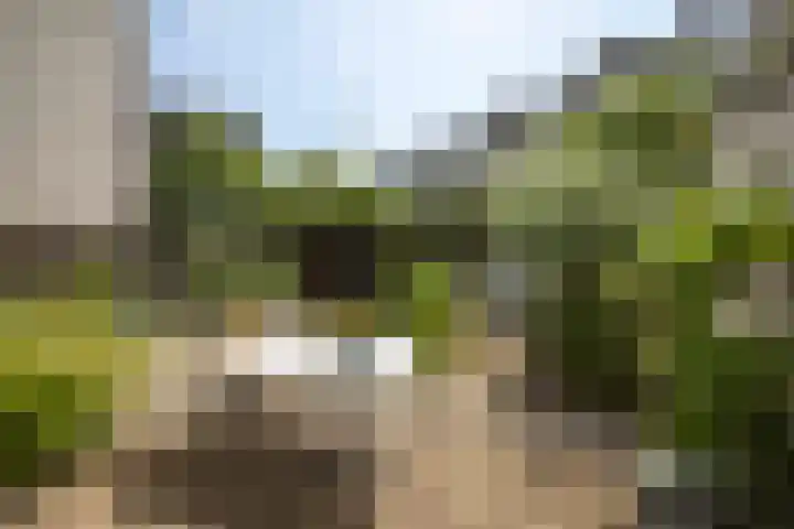 Singel 3 Deventer thumbnail 63