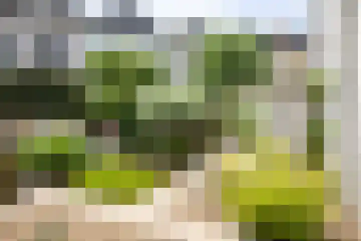 Singel 3 Deventer thumbnail 66