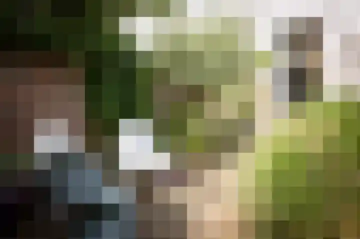 Singel 3 Deventer thumbnail 68
