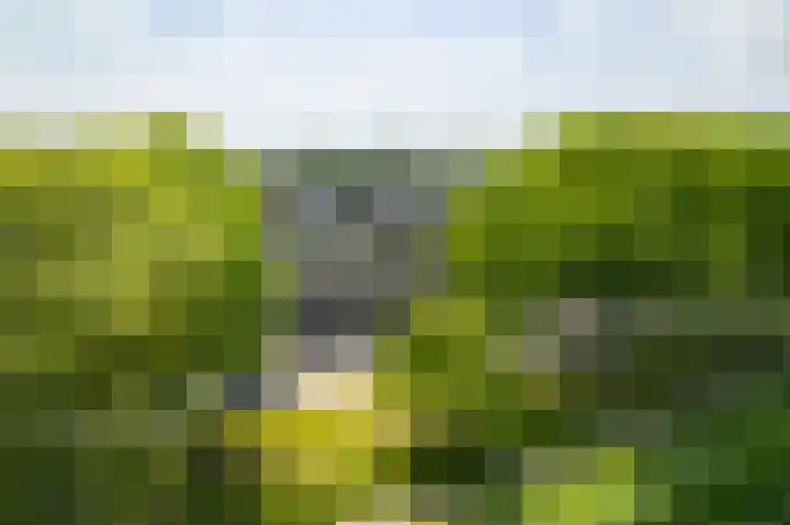 Singel 3 Deventer thumbnail 71