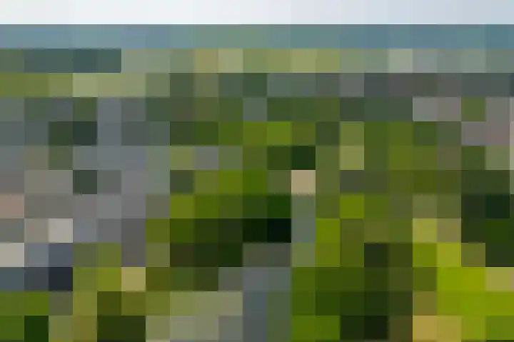 Singel 3 Deventer thumbnail 72