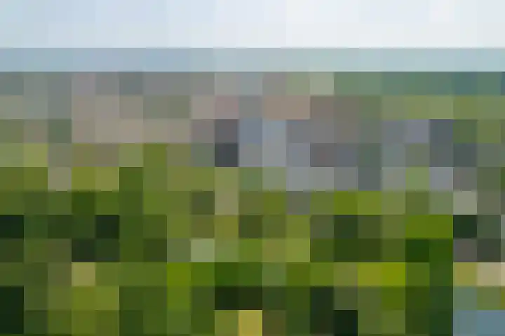 Singel 3 Deventer thumbnail 73