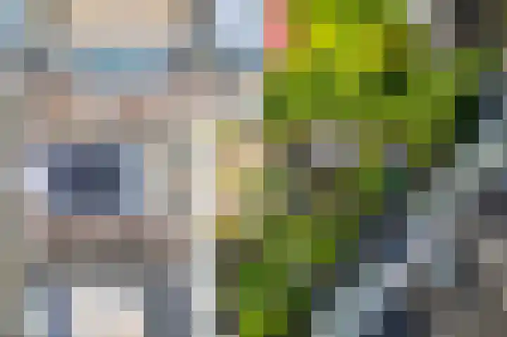 Singel 3 Deventer thumbnail 74
