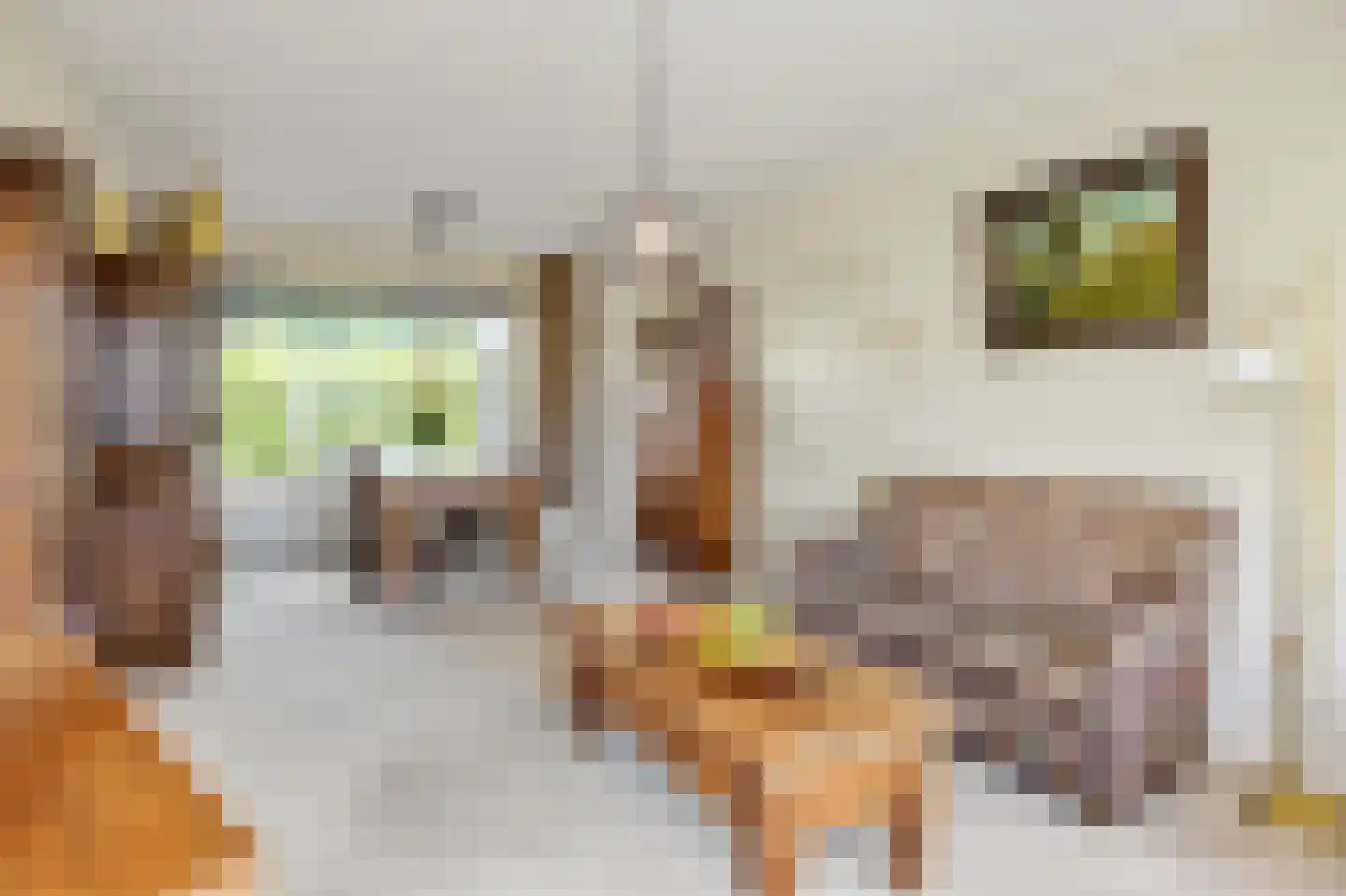 Singel 3 Nuland thumbnail 7