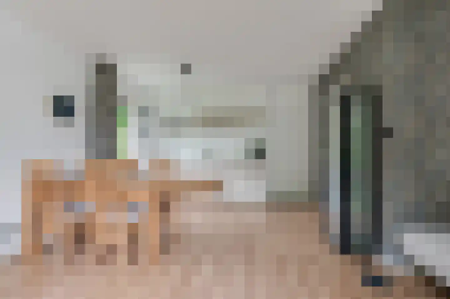 Singel 3 Wijk bij Duurstede thumbnail 14