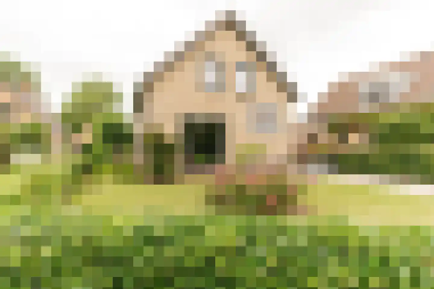 Singel 3 Wijk bij Duurstede thumbnail 36