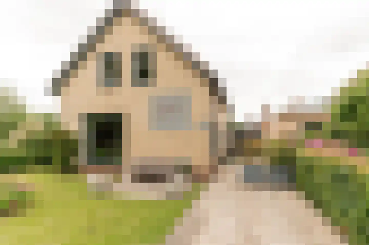 Singel 3 Wijk bij Duurstede thumbnail 37