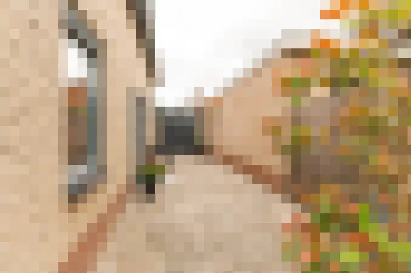 Singel 3 Wijk bij Duurstede thumbnail 38