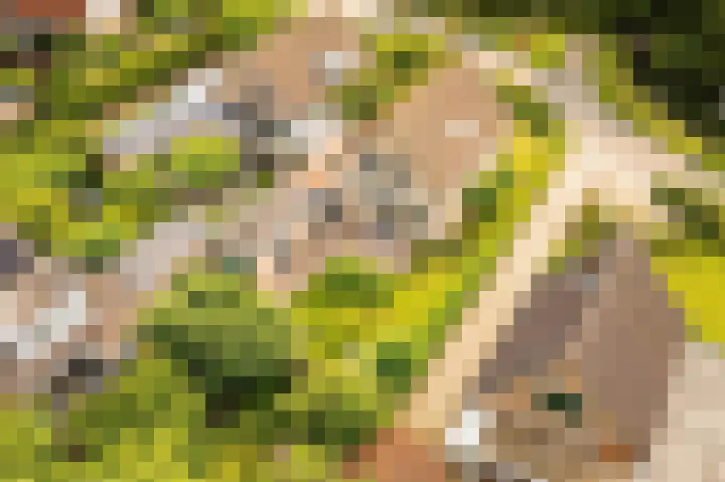 Singel 3 Wijk bij Duurstede thumbnail 5