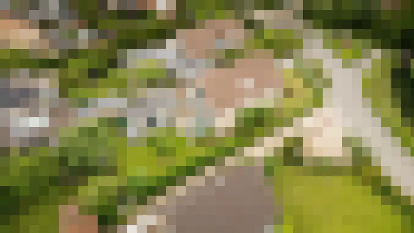 Singel 3 Wijk bij Duurstede thumbnail 50