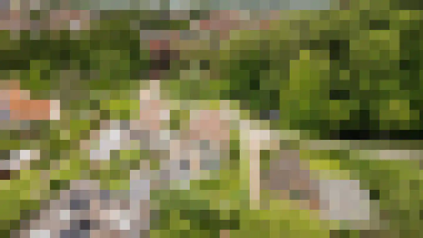 Singel 3 Wijk bij Duurstede thumbnail 51