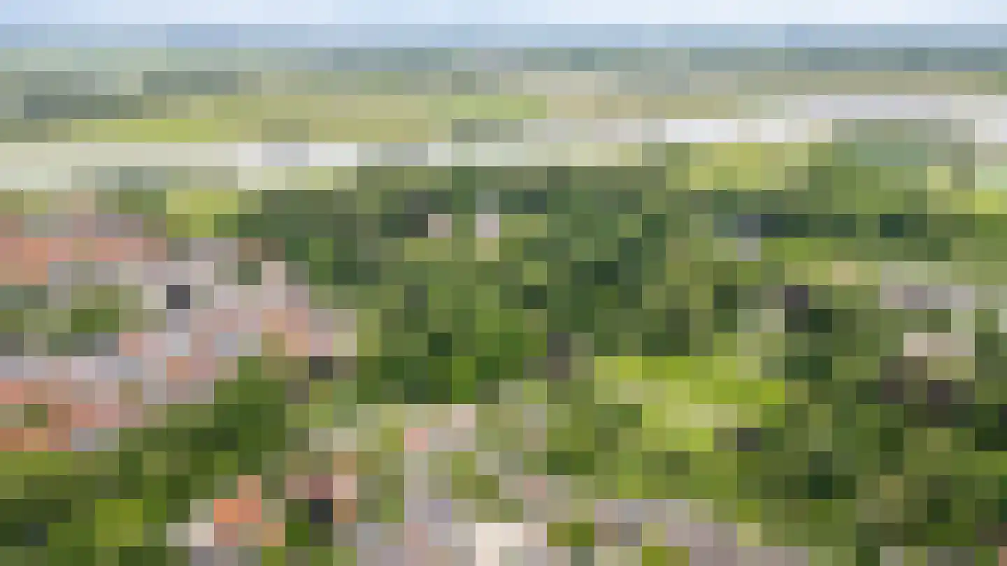 Singel 3 Wijk bij Duurstede thumbnail 52