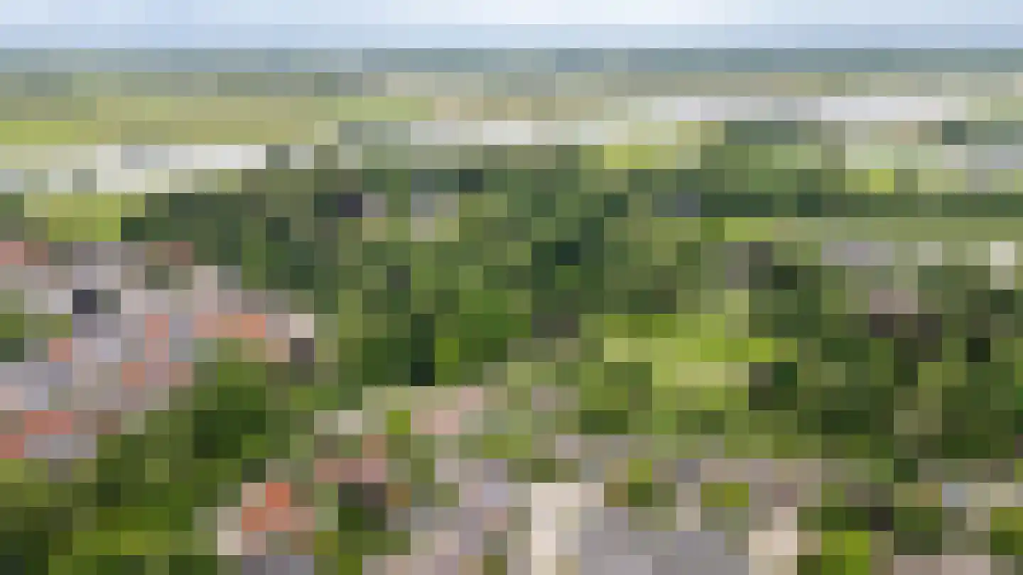 Singel 3 Wijk bij Duurstede thumbnail 53