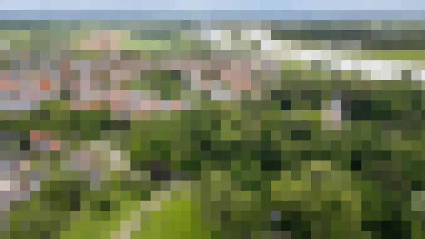 Singel 3 Wijk bij Duurstede thumbnail 54