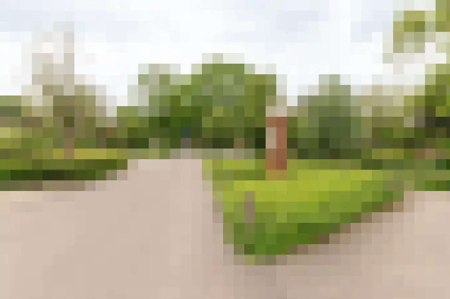 Singel 3 Wijk bij Duurstede thumbnail 56