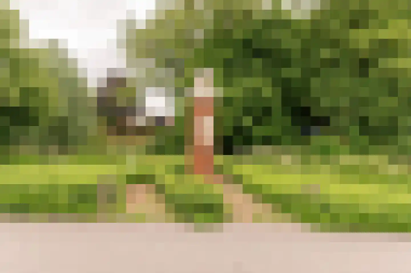 Singel 3 Wijk bij Duurstede thumbnail 57