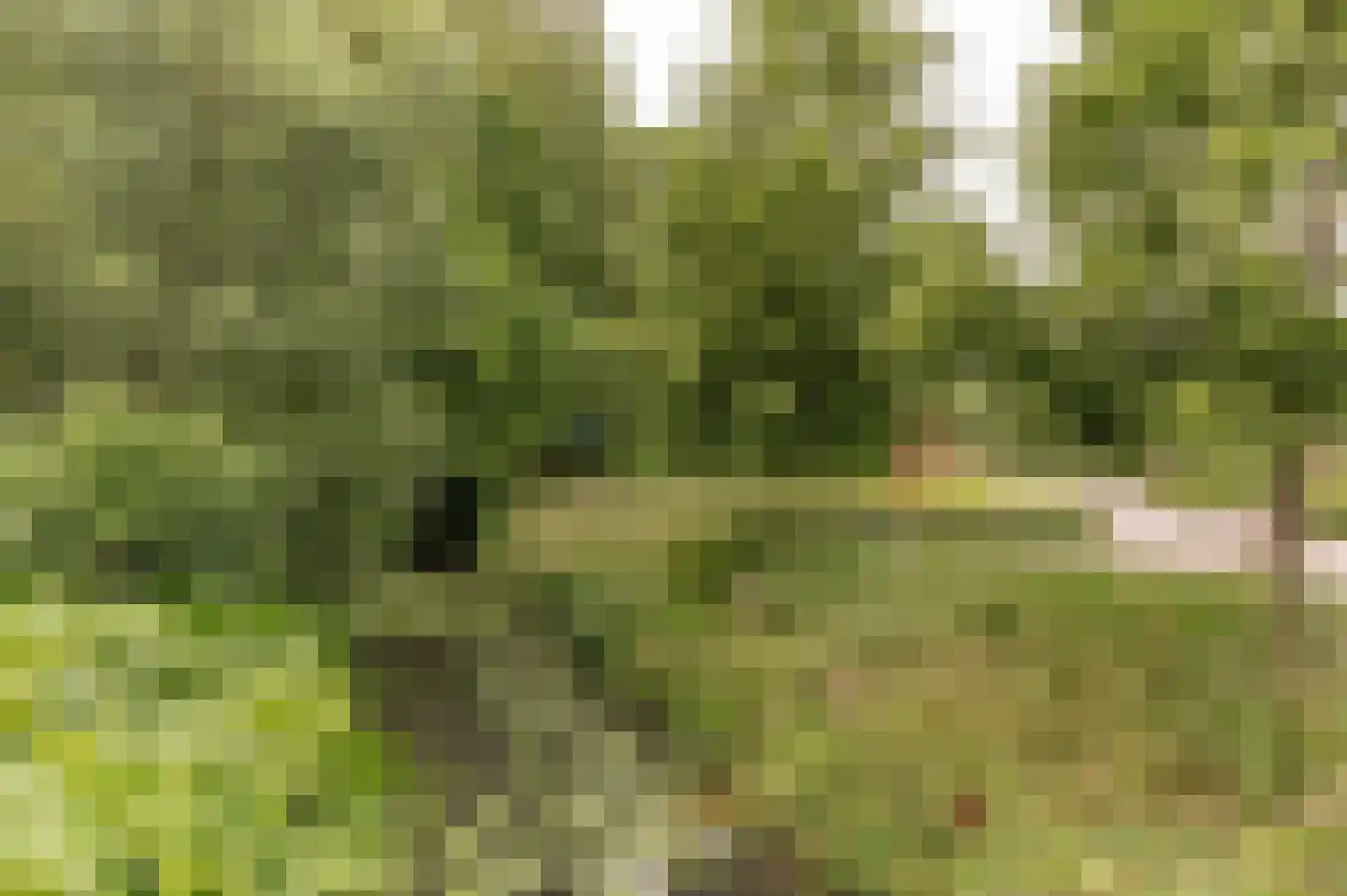 Singel 3 Wijk bij Duurstede thumbnail 58