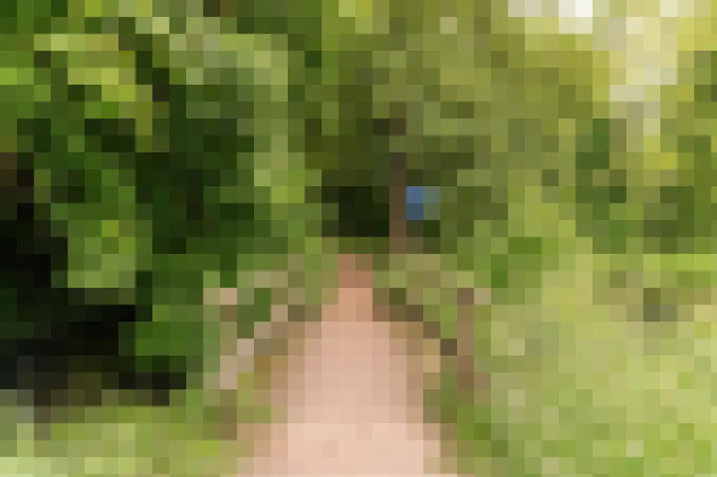 Singel 3 Wijk bij Duurstede thumbnail 59