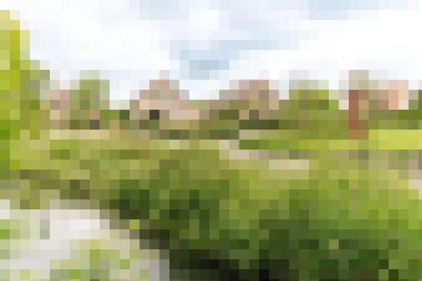 Singel 3 Wijk bij Duurstede thumbnail 6