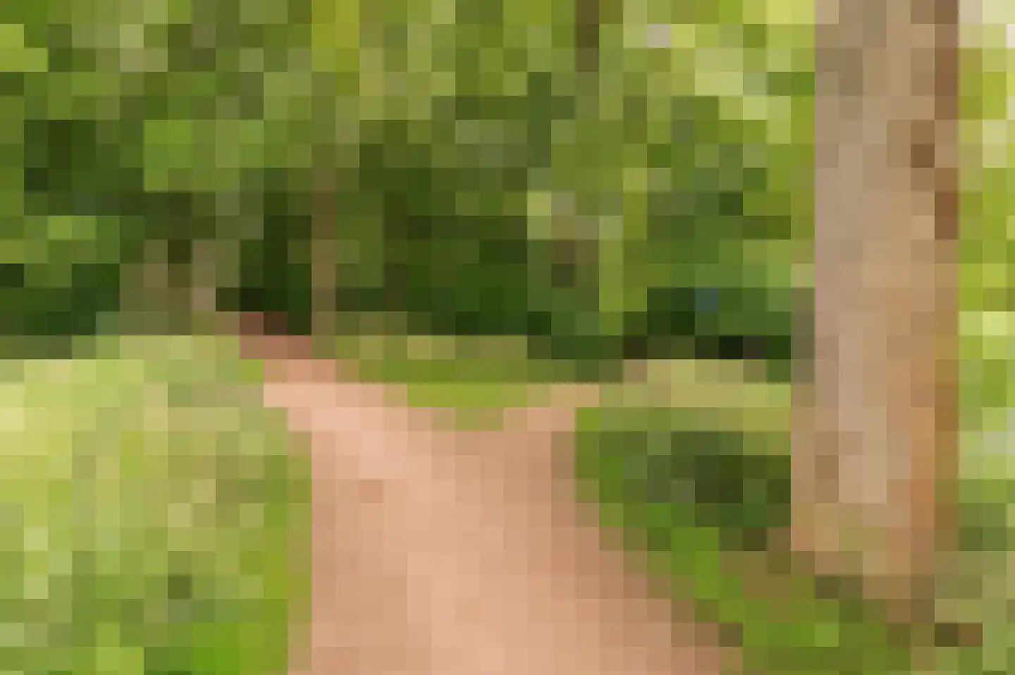 Singel 3 Wijk bij Duurstede thumbnail 60