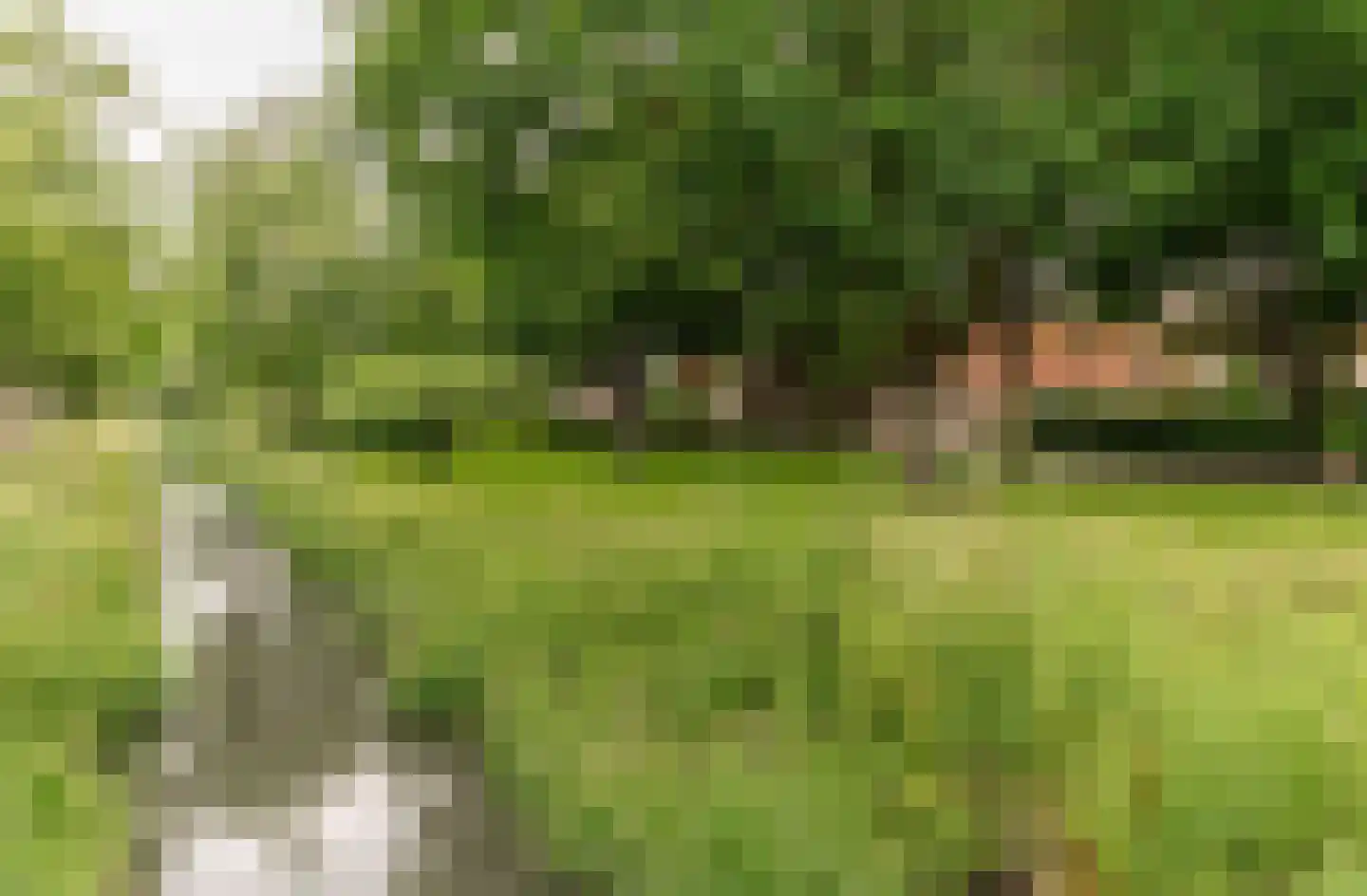 Singel 3 Wijk bij Duurstede thumbnail 61
