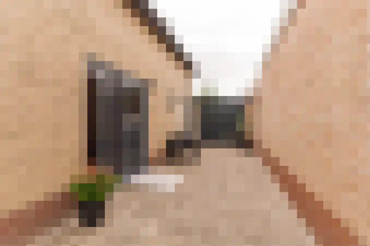 Singel 3 Wijk bij Duurstede thumbnail 7
