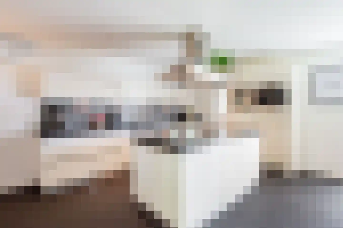 Singel 30 't Harde thumbnail 14
