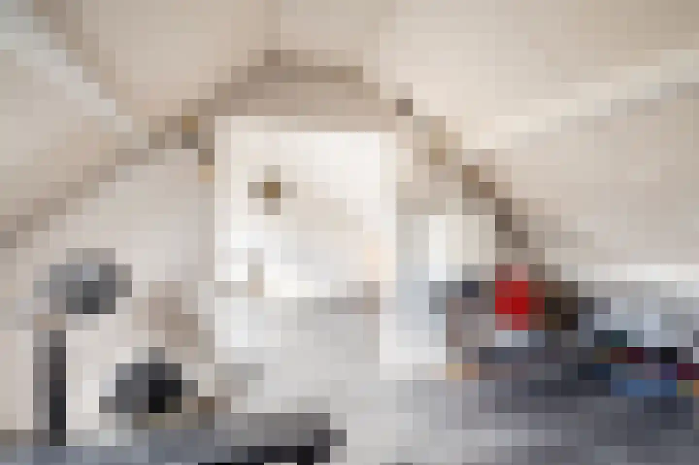 Singel 30 't Harde thumbnail 33