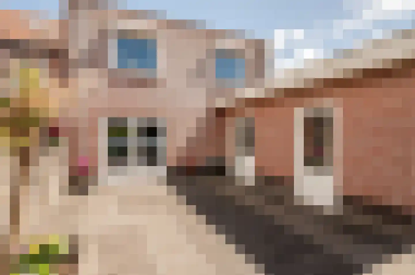 Singel 30 't Harde thumbnail 37