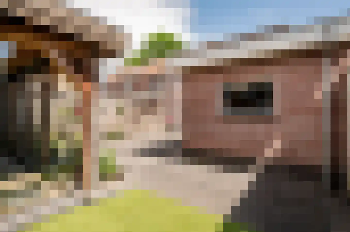 Singel 30 't Harde thumbnail 38