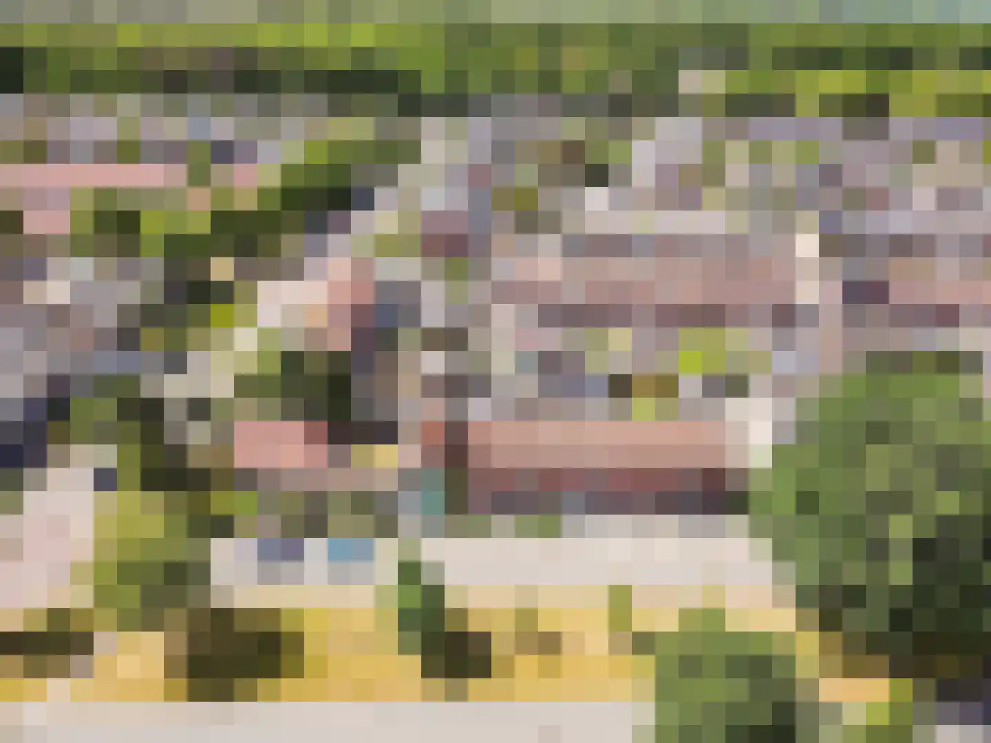 Singel 30 't Harde thumbnail 48