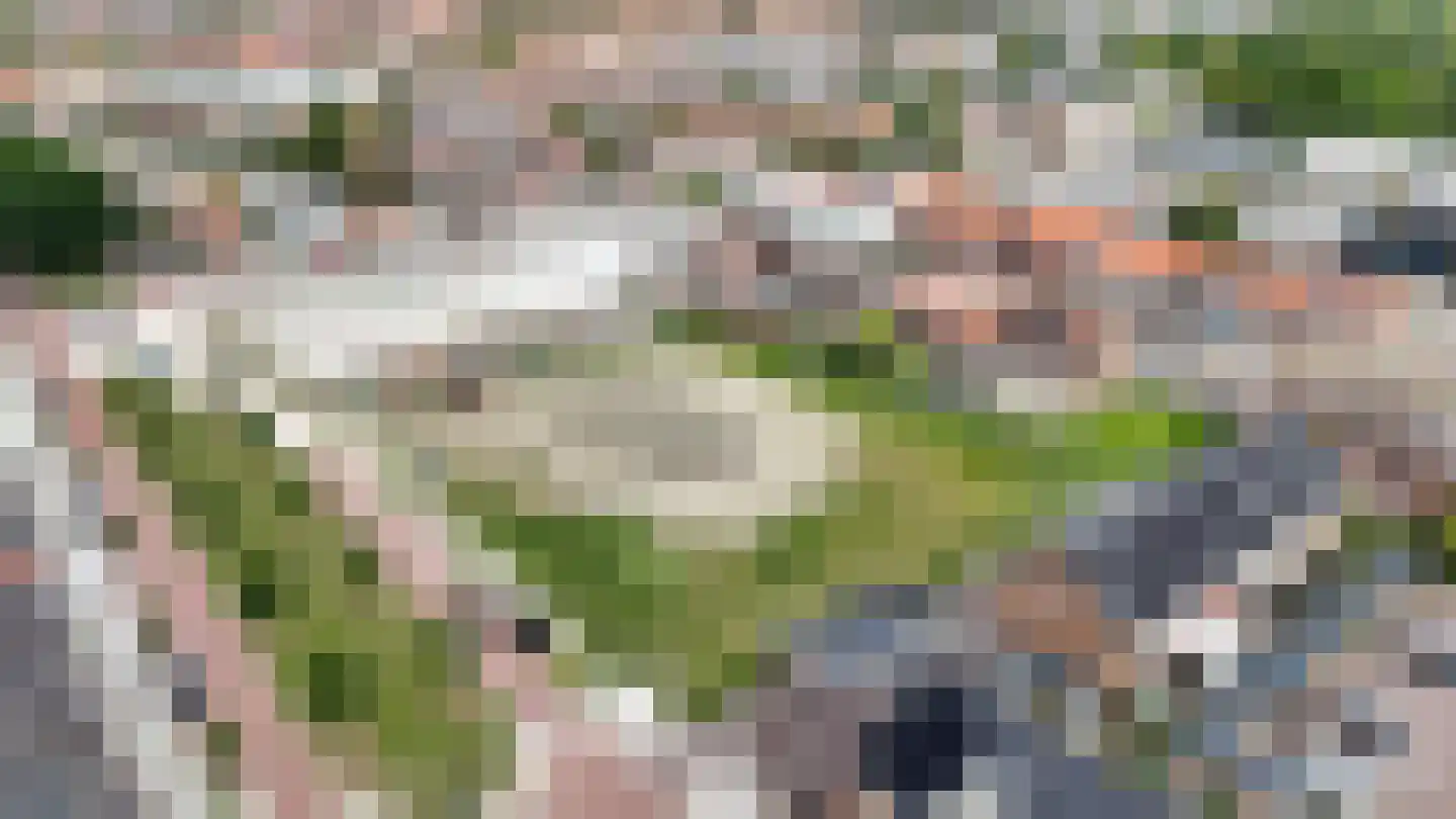 Singel 301 Vlissingen thumbnail 10
