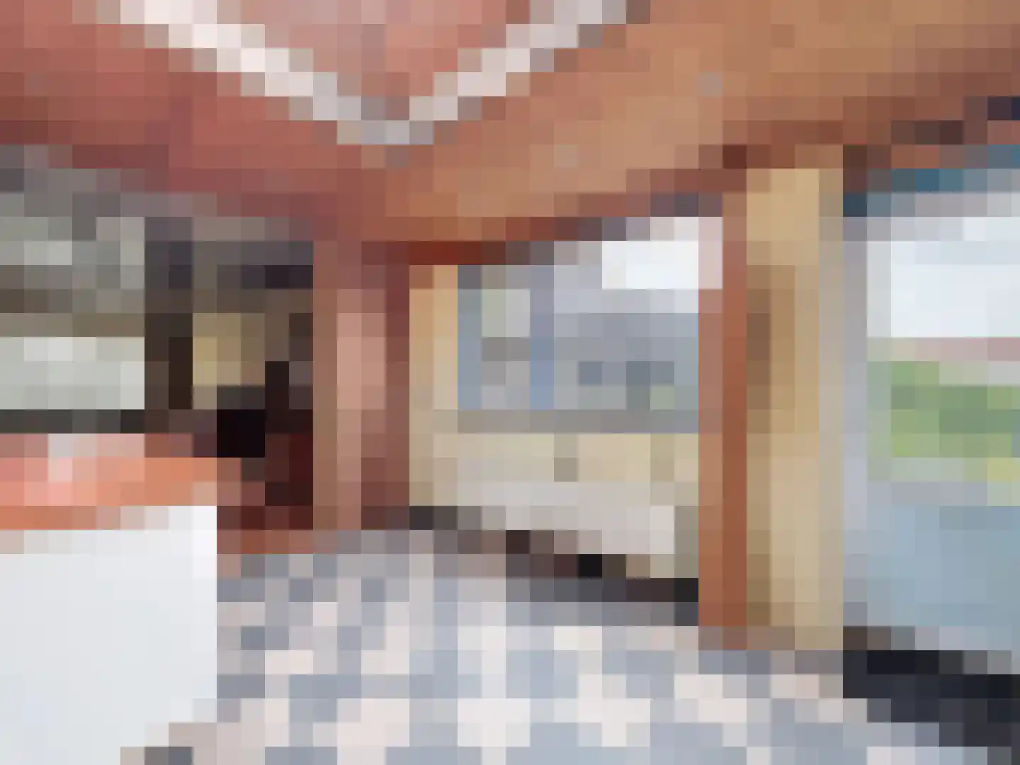 Singel 35 Biervliet thumbnail 7