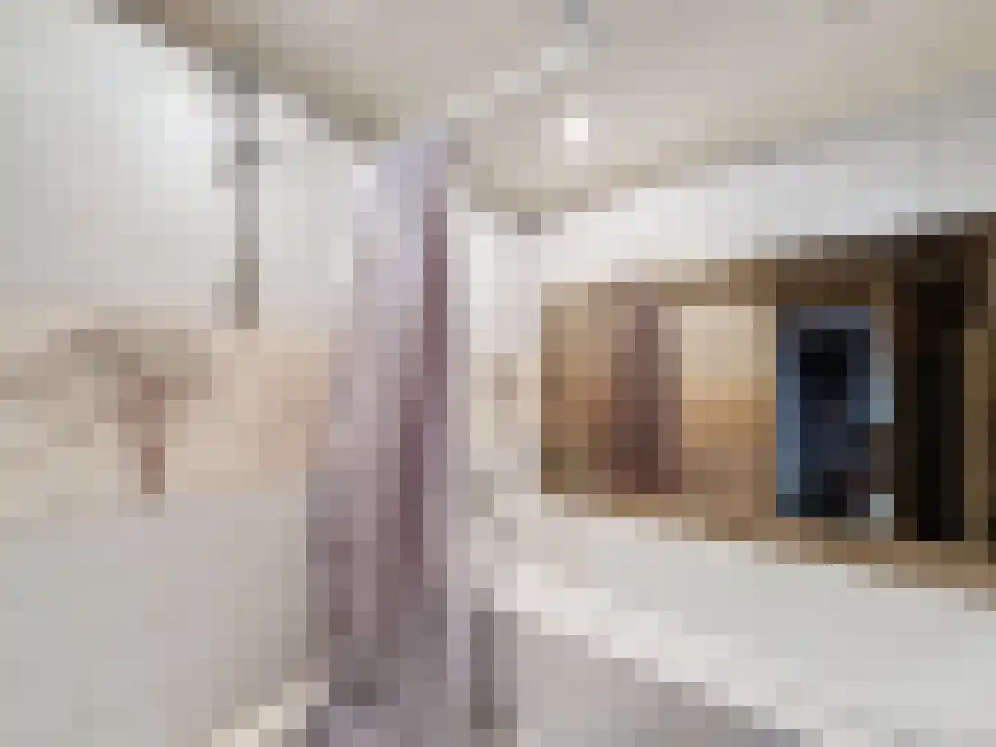 Singel 35 Biervliet thumbnail 9