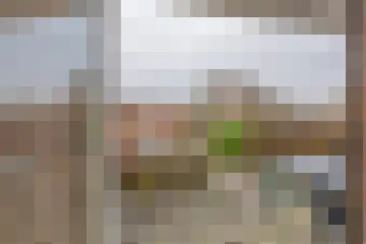 Singel 35 Vlissingen thumbnail 35