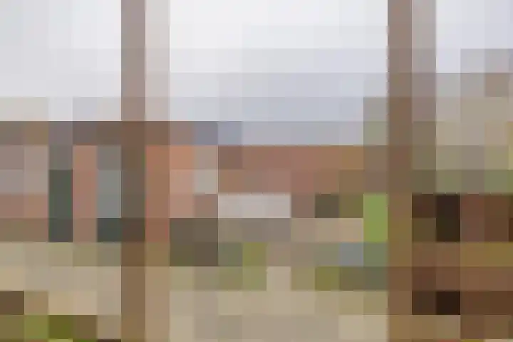 Singel 35 Vlissingen thumbnail 38