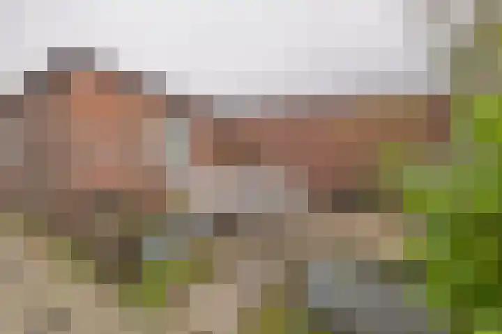 Singel 35 Vlissingen thumbnail 39