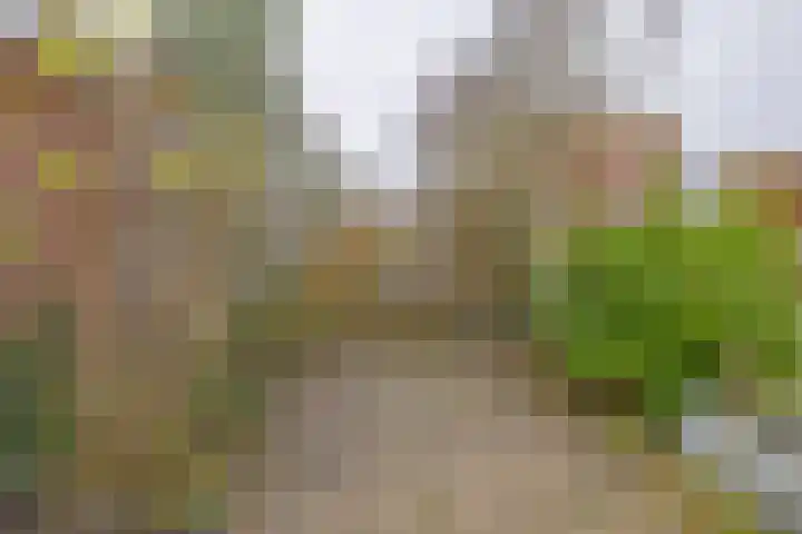 Singel 35 Vlissingen thumbnail 40