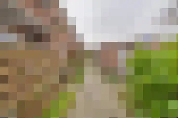 Singel 35 Vlissingen thumbnail 44