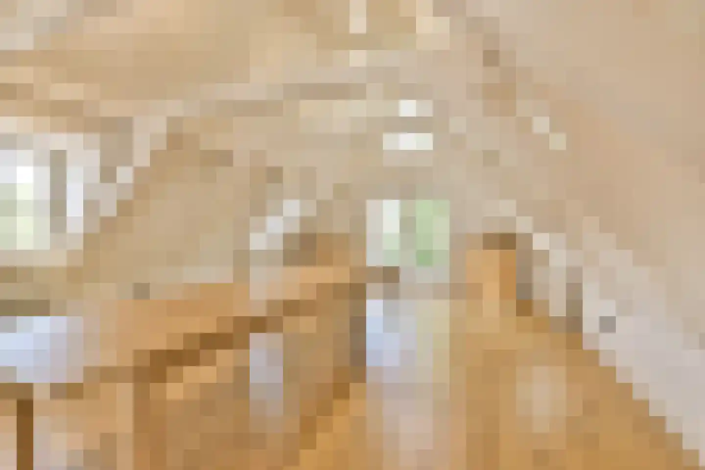 Singel 356 C Amsterdam thumbnail 21