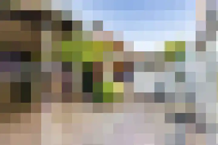 Singel 366 Vlissingen thumbnail 15
