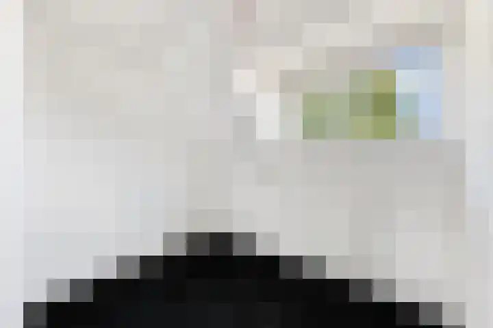 Singel 366 Vlissingen thumbnail 25