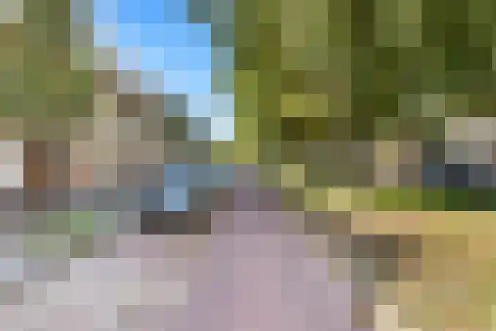 Singel 366 Vlissingen thumbnail 6