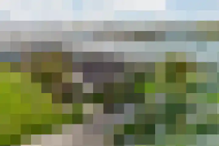 Singel 38 Didam thumbnail 11