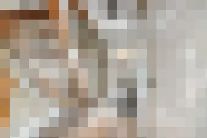 Singel 38 Didam thumbnail 17