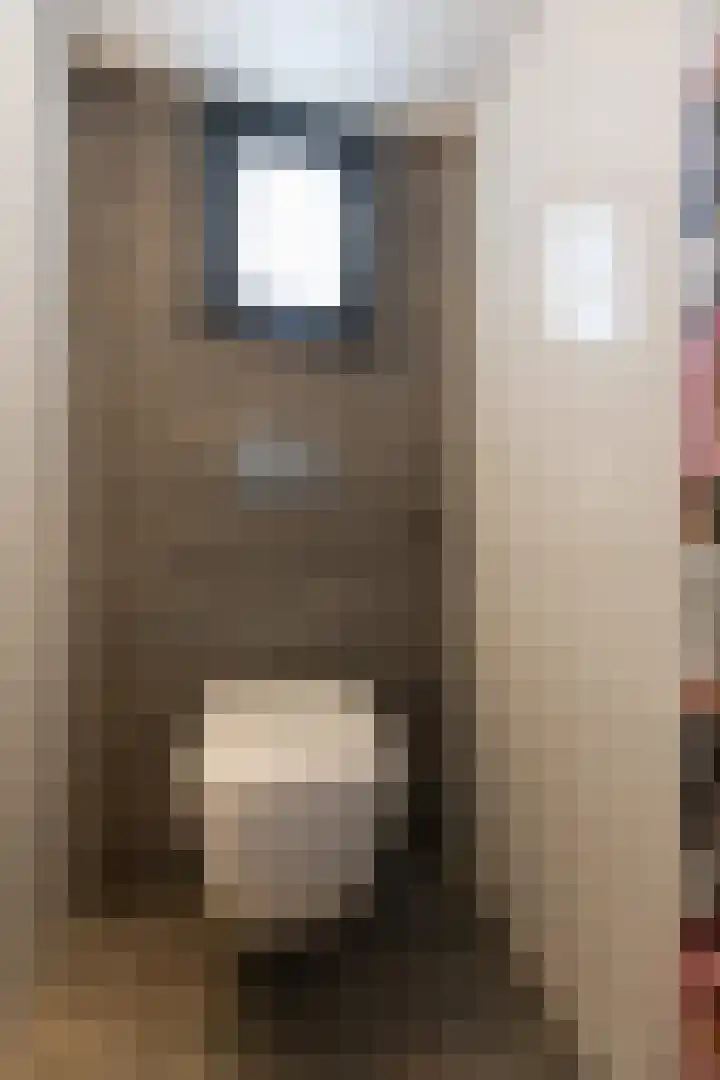 Singel 38 Didam thumbnail 22