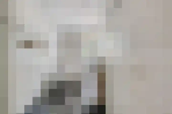 Singel 38 Didam thumbnail 23