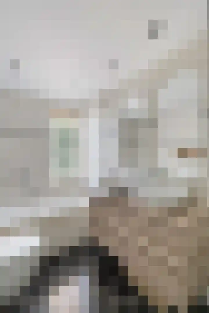 Singel 38 Didam thumbnail 24