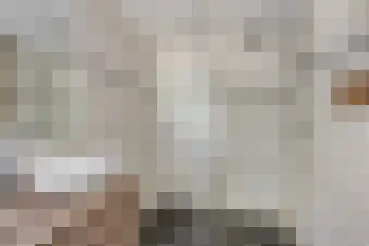 Singel 38 Didam thumbnail 25