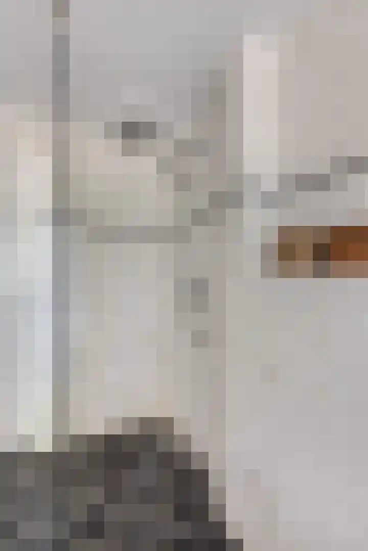 Singel 38 Didam thumbnail 26